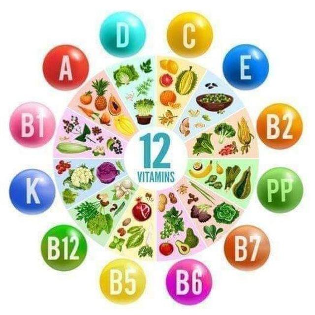 Gesundheit 🥒 Ernährung 🥝 & Abnehmen 🍉