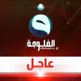 قناة الفلوجة - عاجل