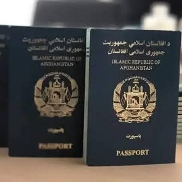 رسانه مهاجر