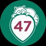 47news