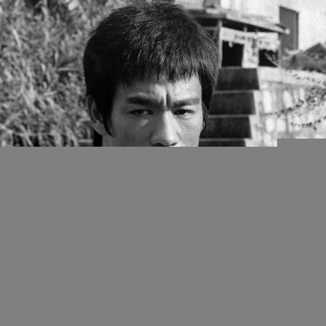🇵🇸 Bruce Lee L@tin@ 🇵🇸