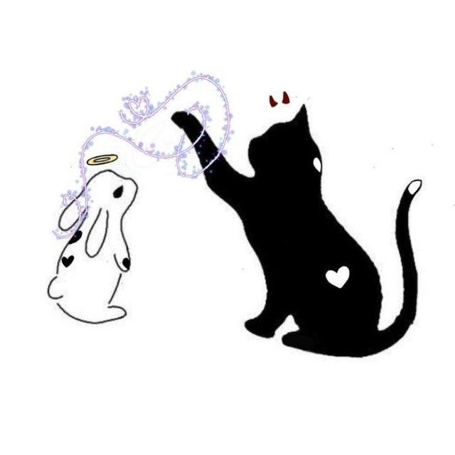 صَفْحات مِن شهد.