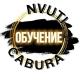 НВУТИ ОБУЧЕНИЕ|Кабура