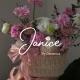 ហាងផ្កា - Janice Florist 🌸