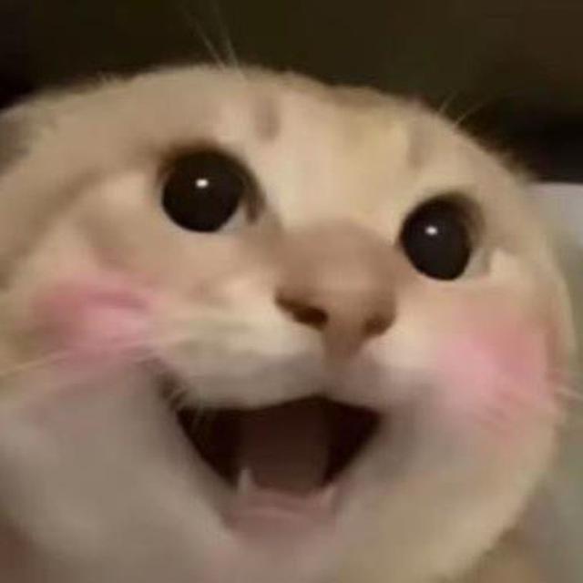 哈基米·南京精选