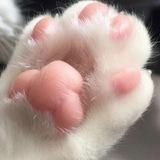 Лапки🦮🐈