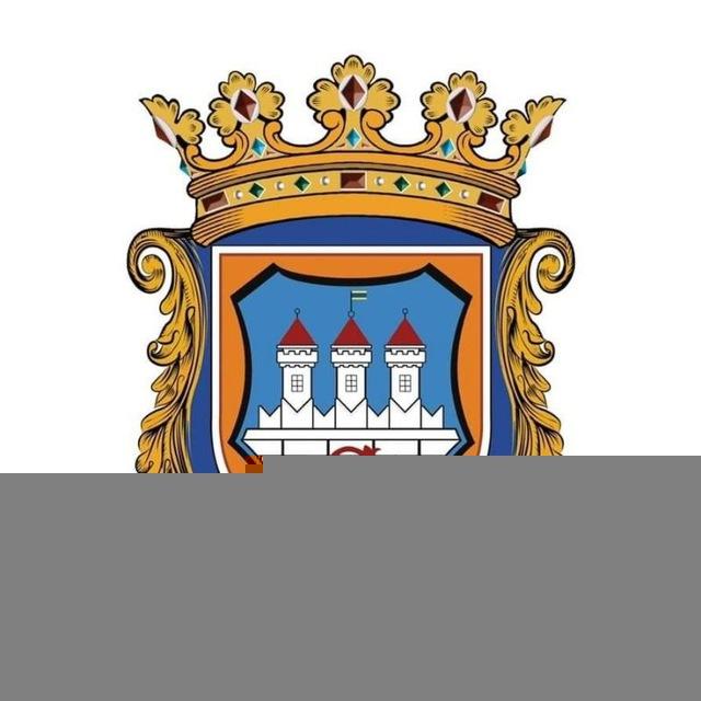 Снятинська міська рада