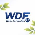 We Do Forward🌍