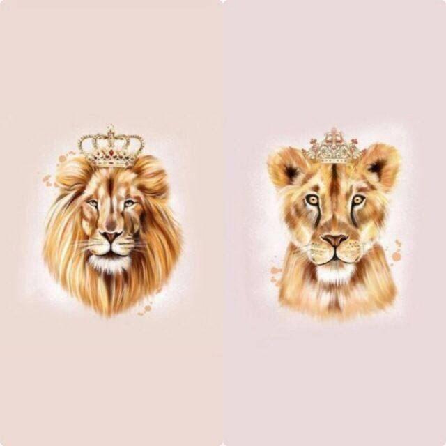 لبوه🐆 ∞ اسد 🦁