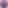 Ninjagram