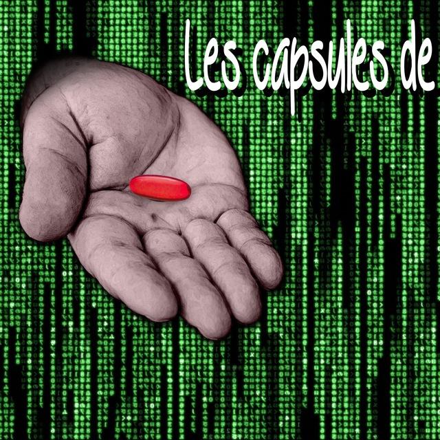 ⚖️ - Maître X - OFFICIEL - ⚖️