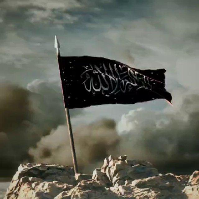 Jizya Collectors [M.Inc]
