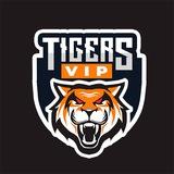 TIGER SINAIS SEM GALE AO VIVO