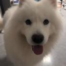 千纯❤️❤️屋中自有颜如玉
