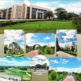 CUET/NCET/LEET - CENTRAL UNIVERSITY OF HARYANA (CUH)