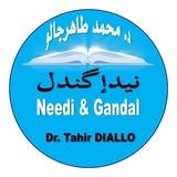 درسوج (نيدِ إ گنْدَل) د. محمد طاهر جالو Dr Tahir DIALLO
