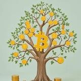 Crypto income