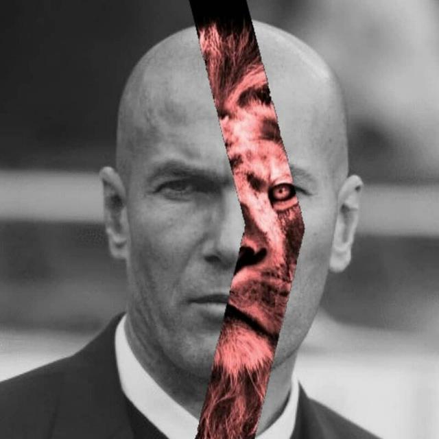 Realzidanenews