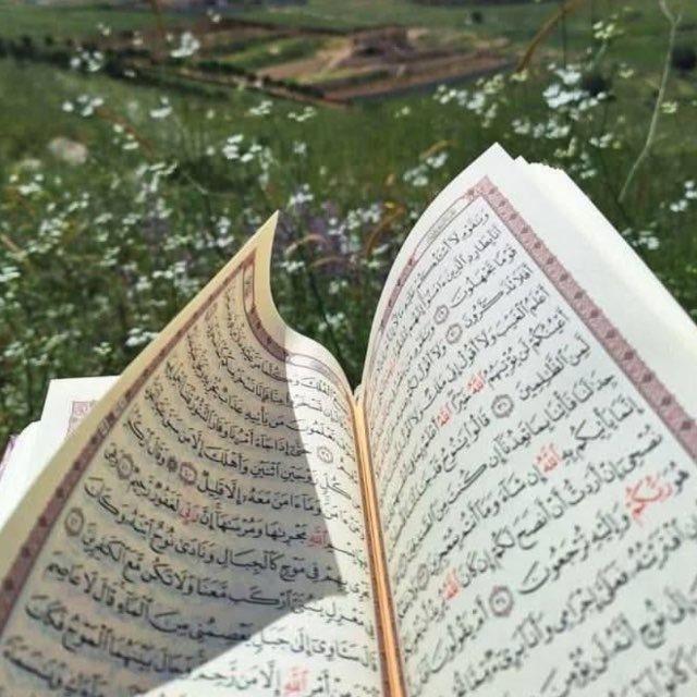 "حفظ سورة البقرة"