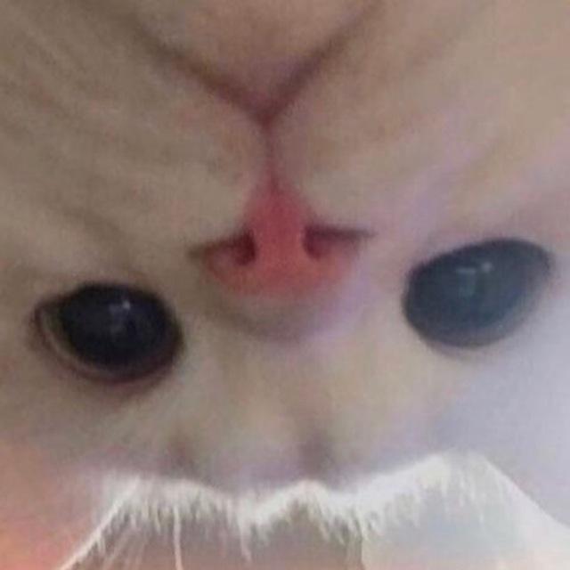 NymphoMeow
