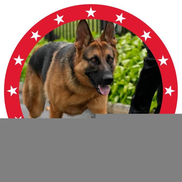 MAGA DOG - $ATLAS