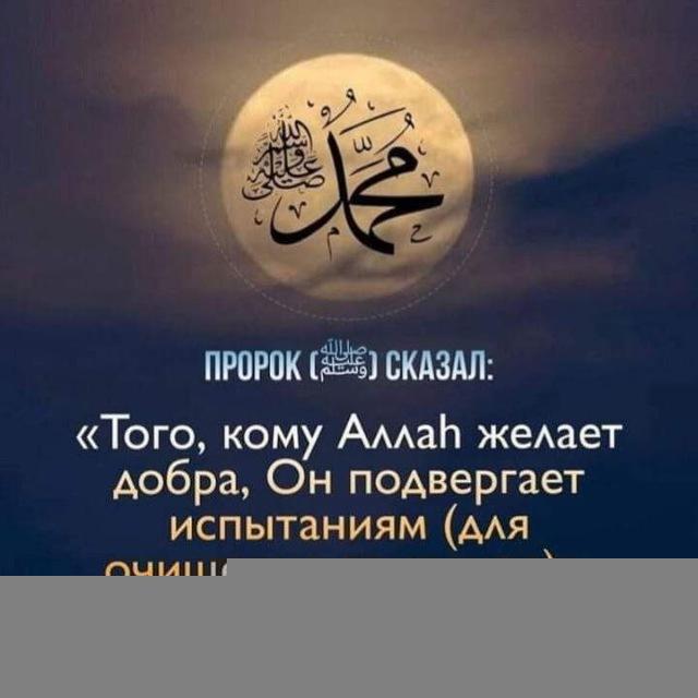 Аяты и рукия,лечения от сихра