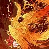 viki机房通知群