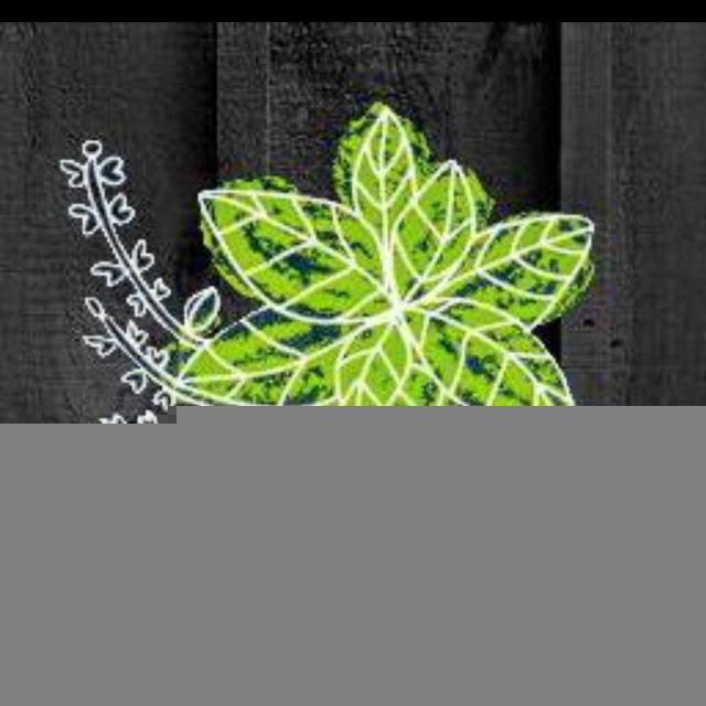 БАЗИЛИК 🌿 ДЖИГИНКА