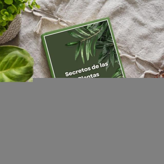 Terapia con Plantas Maestras