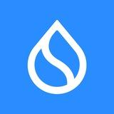 💧 Sui Foundation 🔊 News Korean