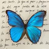 بـنـيـنـَي 🦋