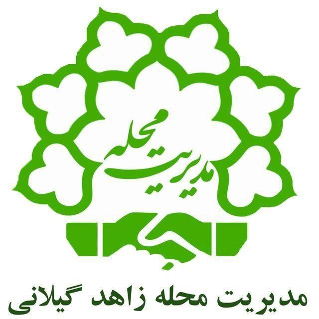 sarazahedgilani3