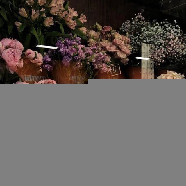 •Гүлдөр ааламы•🌷