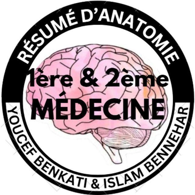 ✨Youcef & Islam's résumés✨