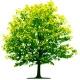 Environment Notes EVS Notes Study Material PDF Previous Year Question Paper