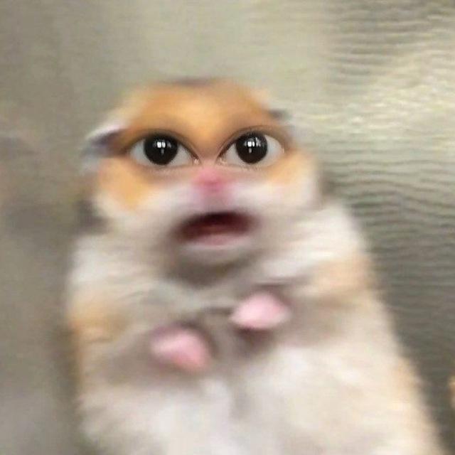 —