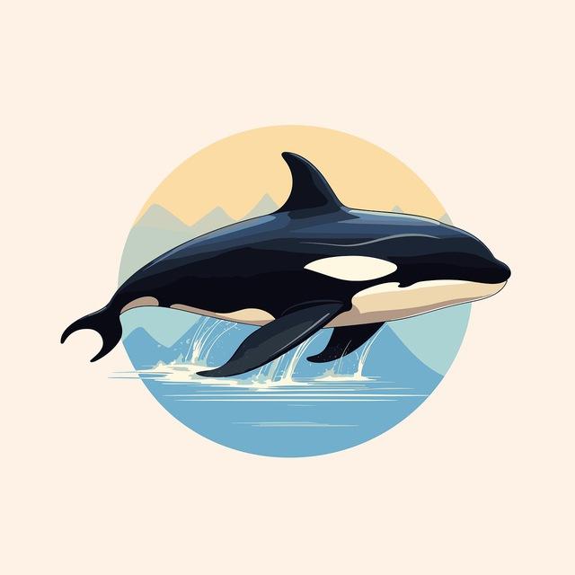 Whale Call