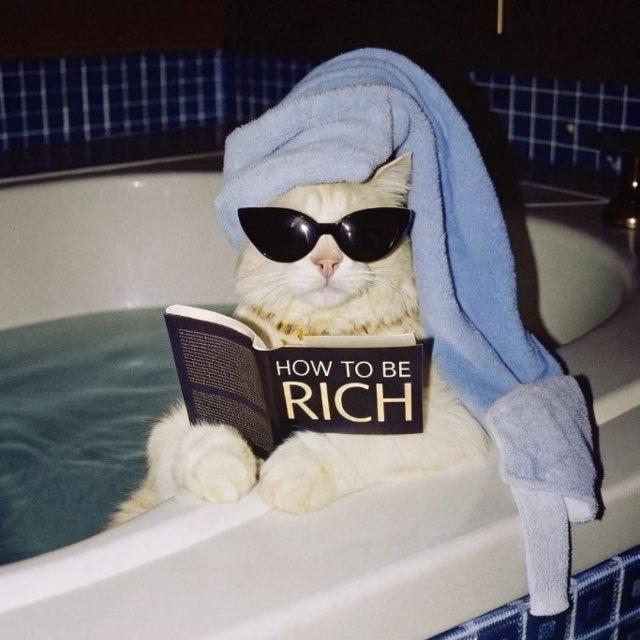 shut up and take my money 💸
