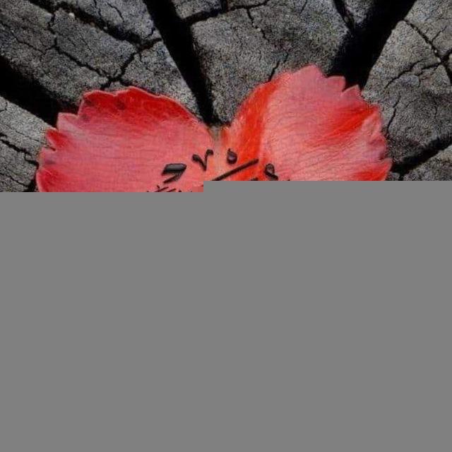 دمحمدﷺ عاشقان❤️