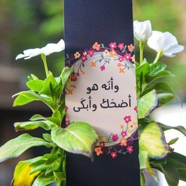 وَأَنَّهُ هُوَ أَضْحَكَ وَأَبْكَىٰ 🪴🪻