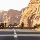 سرىّ .