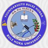 Bule Hora University