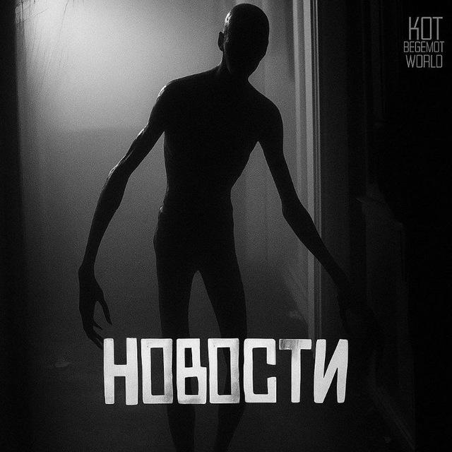 WorldBegemotKot † Новости | Мемы | Инсайды | Опросы