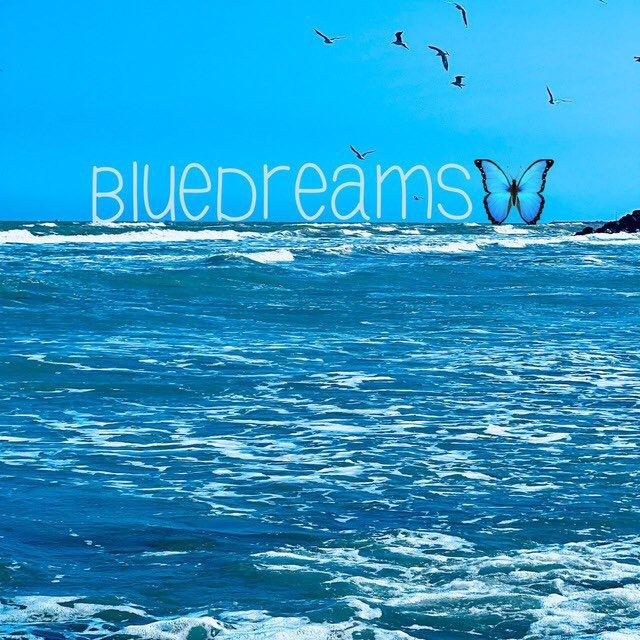 BlUeDrEaMs💙