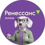 Ренессанс Жизнь