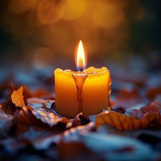 🕯️Wise Words🕯️