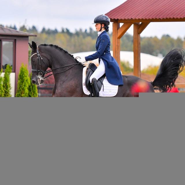 ash.dressage