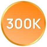 300 тыс на репетиторстве