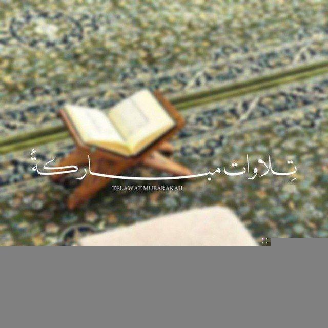 - تِلَاوَاتٌ مُبَارَكَةٌ.