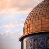 زيتــونـــة مـــقـدســية🇵🇸🕊||•